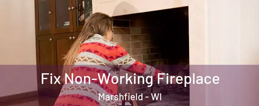  Fix Non-Working Fireplace Marshfield - WI
