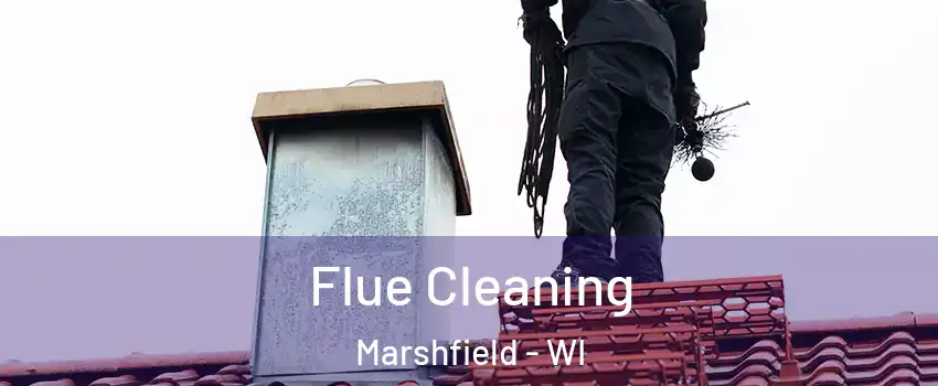 Flue Cleaning Marshfield - WI