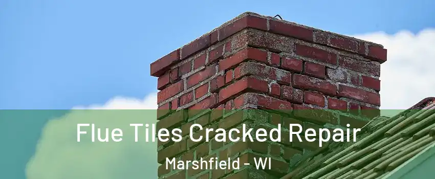  Flue Tiles Cracked Repair Marshfield - WI