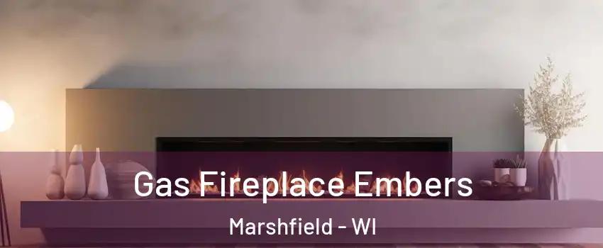  Gas Fireplace Embers Marshfield - WI