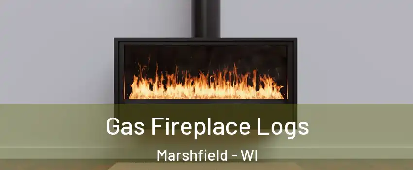  Gas Fireplace Logs Marshfield - WI