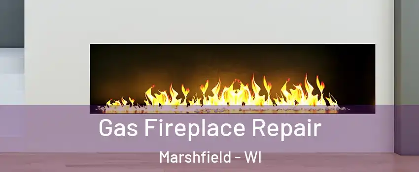  Gas Fireplace Repair Marshfield - WI