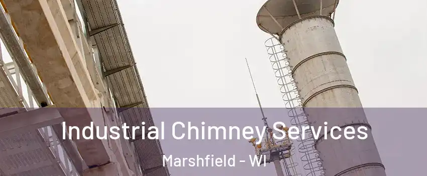 Industrial Chimney Services Marshfield - WI