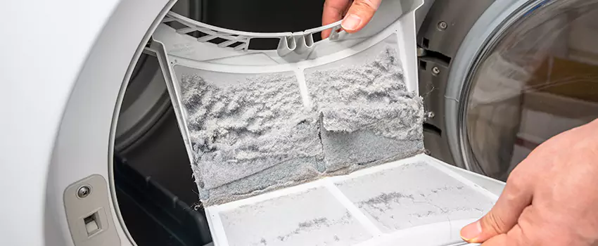 Best Dryer Lint Removal Company in Marshfield, Wisconsin