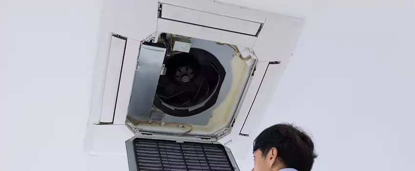 Benefits of Professional Air Duct Cleaning in Marshfield, Wisconsin
