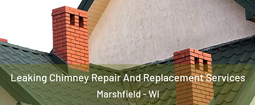  Leaking Chimney Repair And Replacement Services Marshfield - WI