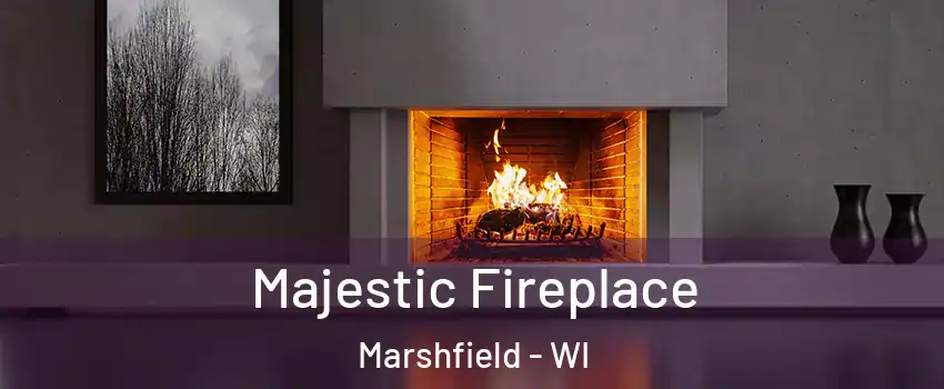  Majestic Fireplace Marshfield - WI