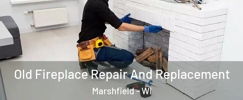 Old Fireplace Repair And Replacement Marshfield - WI