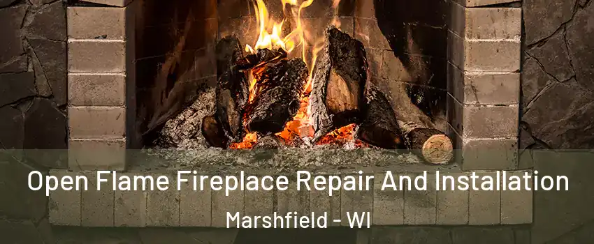  Open Flame Fireplace Repair And Installation Marshfield - WI