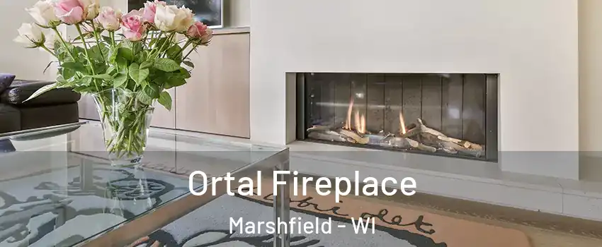  Ortal Fireplace Marshfield - WI