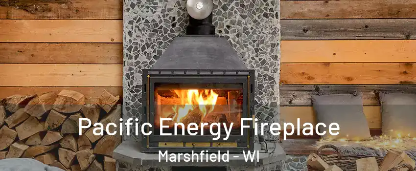  Pacific Energy Fireplace Marshfield - WI
