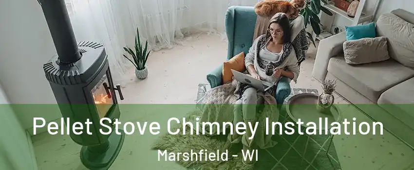 Pellet Stove Chimney Installation Marshfield - WI