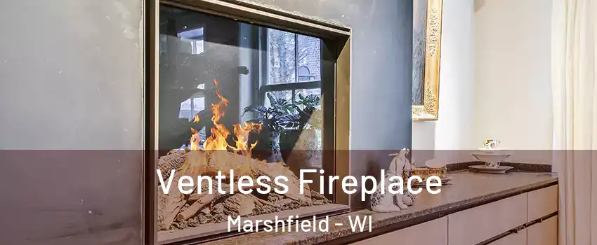  Ventless Fireplace Marshfield - WI