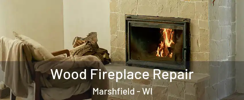  Wood Fireplace Repair Marshfield - WI