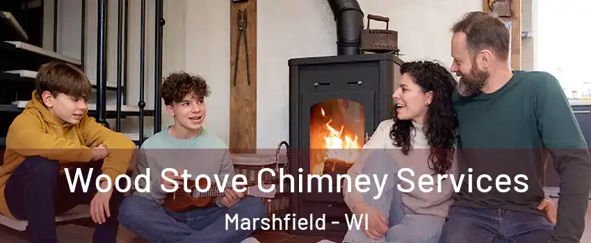  Wood Stove Chimney Services Marshfield - WI