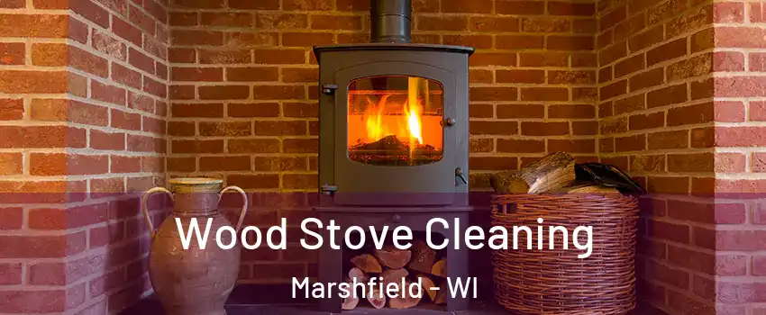 Wood Stove Cleaning Marshfield - WI
